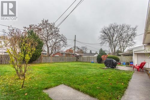 3556 Virginia Park, Windsor, ON - Outdoor With Backyard