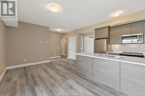 955 Ouellette Avenue Unit# 104, Windsor, ON - Indoor Photo Showing Kitchen With Double Sink