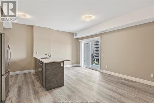 955 Ouellette Avenue Unit# 104, Windsor, ON - Indoor Photo Showing Kitchen