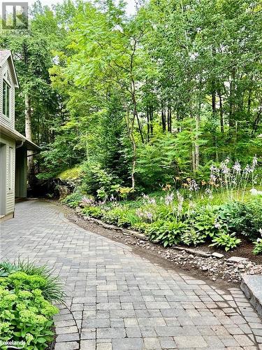 View of patio - 231 Grandview/Hilltop Drive, Huntsville, ON - Outdoor