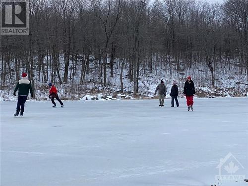 Enjoy winter skating on the lake-pond - 921 Norwood Road, Westport, ON - Outdoor With View