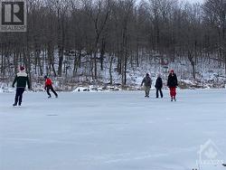 Enjoy winter skating on the lake-pond - 