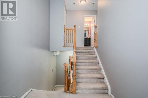 Staircase featuring carpet flooring - 727 Zermatt Drive, Waterloo, ON - Indoor Photo Showing Other Room