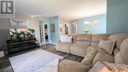 19 Larch Street, Highlands East, ON - Indoor Photo Showing Living Room