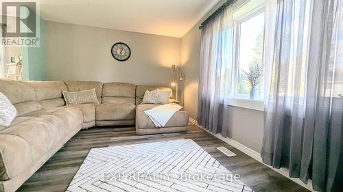 19 Larch Street, Highlands East, ON - Indoor Photo Showing Living Room