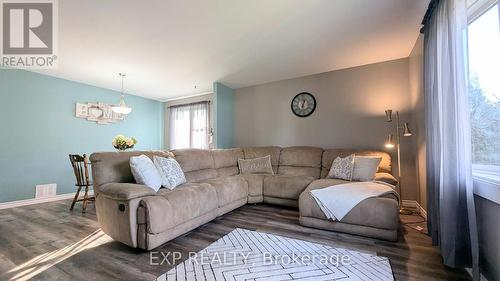 19 Larch Street, Highlands East, ON - Indoor Photo Showing Living Room