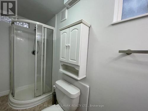 Lower - 25 Glenridge Road, Barrie, ON - Indoor Photo Showing Bathroom