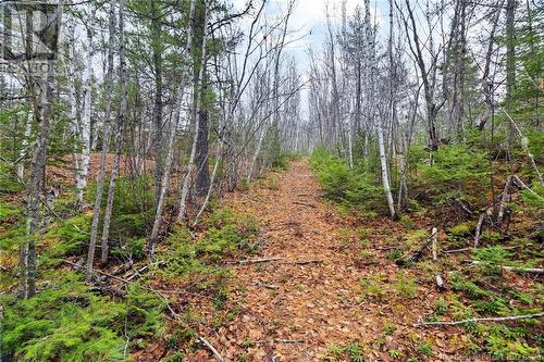 8353 Route 10, Cumberland Bay, NB 