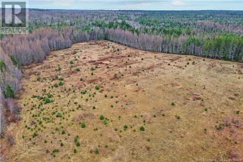 8353 Route 10, Cumberland Bay, NB 