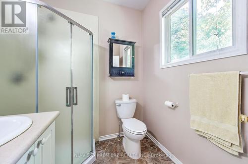 1090 Shelborne Place, London, ON - Indoor Photo Showing Bathroom