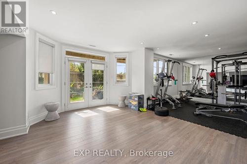 102 Vines Place, Aurora, ON - Indoor Photo Showing Gym Room