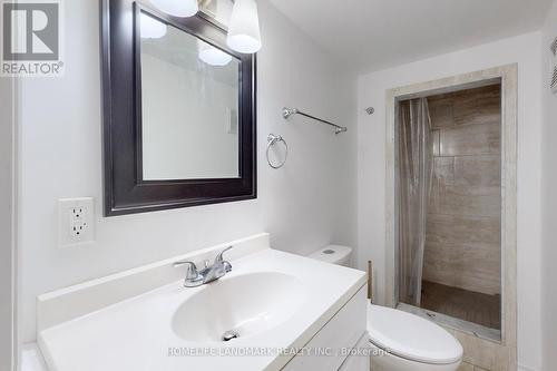 552 Queen Victoria Drive, Hamilton, ON - Indoor Photo Showing Bathroom