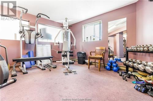 1630 Paris Street Unit# 201, Sudbury, ON - Indoor Photo Showing Gym Room