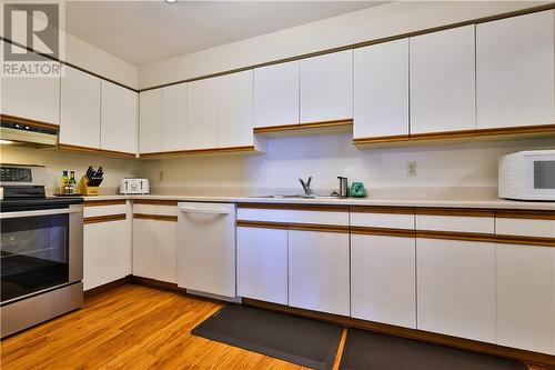 1630 Paris Street Unit# 201, Sudbury, ON - Indoor Photo Showing Kitchen With Double Sink