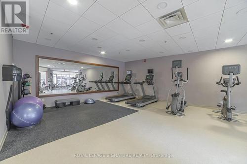 211 - 27 Rean Drive, Toronto, ON - Indoor Photo Showing Gym Room