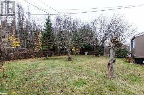 105 Lawson Avenue, Riverview, NB - Outdoor