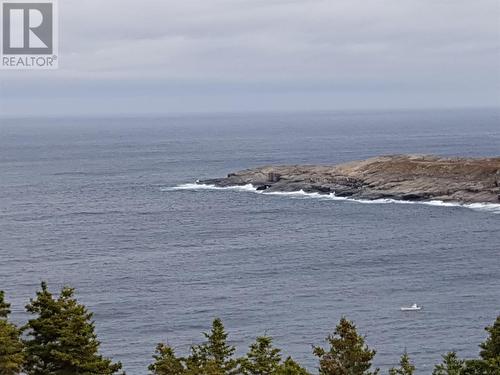 5 Wildberry Ridge, Flatrock, NL 