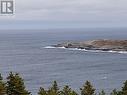 5 Wildberry Ridge, Flatrock, NL 