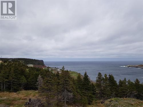 5 Wildberry Ridge, Flatrock, NL 