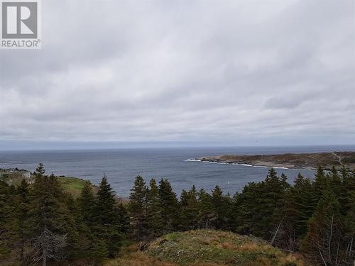 5 Wildberry Ridge, Flatrock, NL 