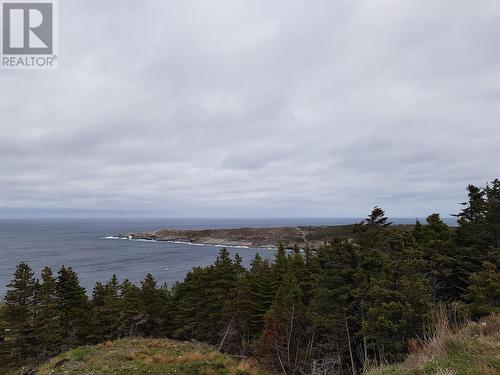 5 Wildberry Ridge, Flatrock, NL 