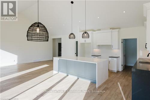 546 Algonquin Trail, Georgian Bluffs, ON - Indoor Photo Showing Kitchen With Upgraded Kitchen