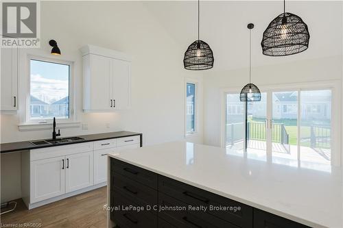 546 Algonquin Trail, Georgian Bluffs, ON - Indoor Photo Showing Kitchen With Double Sink