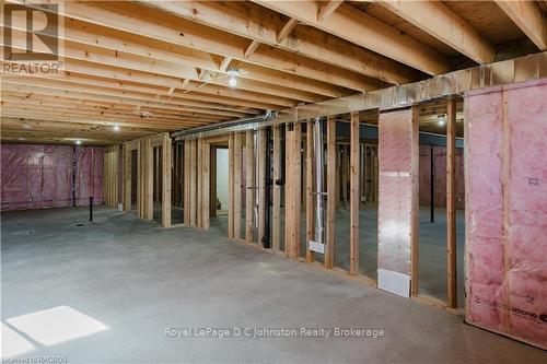 546 Algonquin Trail, Georgian Bluffs, ON - Indoor Photo Showing Basement