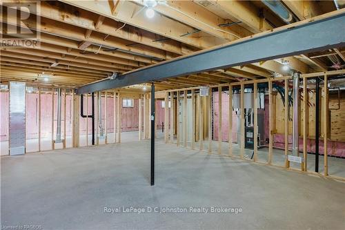 546 Algonquin Trail, Georgian Bluffs, ON - Indoor Photo Showing Basement