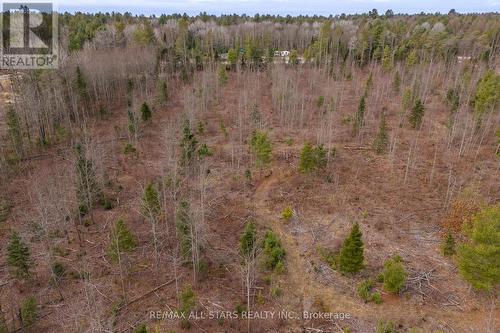 3908 County Rd 121, Galway-Cavendish And Harvey, ON 