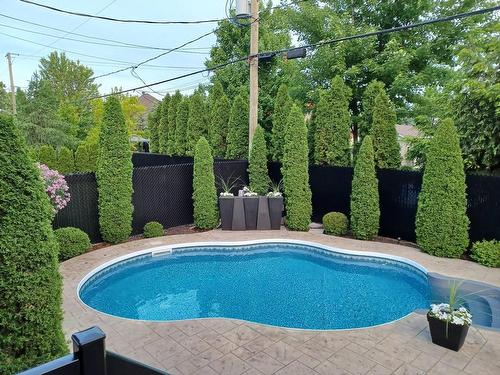 Pool - 687 Rue Des Églantiers, Boucherville, QC - Outdoor With In Ground Pool With Backyard