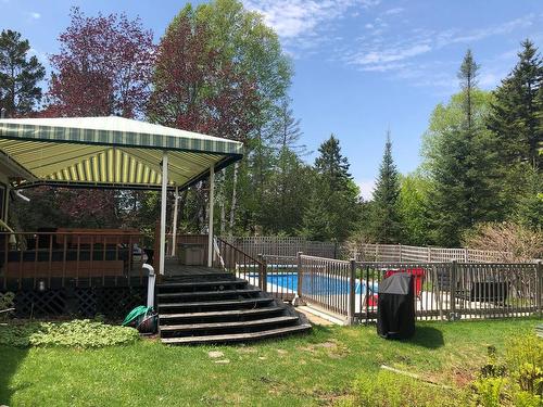 Piscine - 488 Rue De La Colline, Sainte-Adèle, QC - Outdoor With In Ground Pool With Backyard