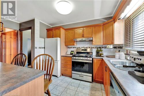 113 Green Road, Hamilton, ON - Indoor Photo Showing Kitchen With Double Sink