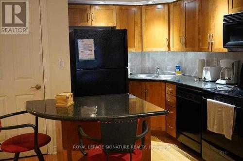 928 - 250 Wellington Street W, Toronto, ON - Indoor Photo Showing Kitchen With Double Sink