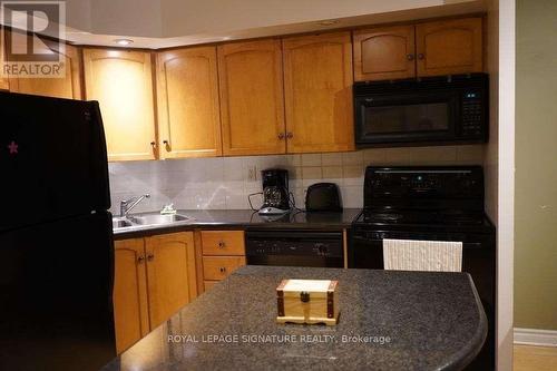 928 - 250 Wellington Street W, Toronto, ON - Indoor Photo Showing Kitchen With Double Sink