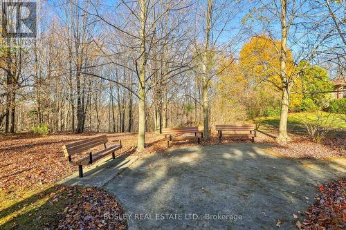 111 Camborne Avenue, Toronto, ON - Outdoor With View