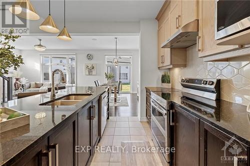 62 Viceroy Mews, Ottawa, ON - Indoor Photo Showing Kitchen With Double Sink With Upgraded Kitchen