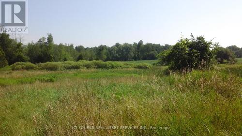 14165 Trafalgar Road, Halton Hills, ON - Outdoor With View