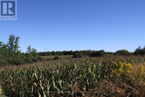 14165 Trafalgar Road, Halton Hills, ON - Outdoor With View