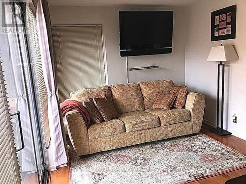 3 - 12 Clarence Street, Ottawa, ON - Indoor Photo Showing Living Room