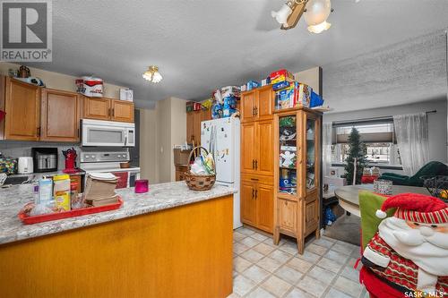 1195 Branion Drive, Prince Albert, SK - Indoor Photo Showing Kitchen