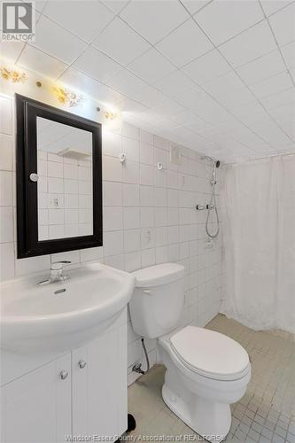 739-41 Josephine, Windsor, ON - Indoor Photo Showing Bathroom