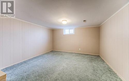 Carpeted spare room featuring wooden walls and crown molding - 55 Ellis Avenue, Kitchener, ON - Indoor