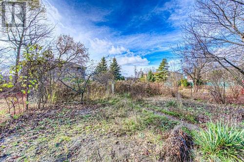 View of landscape - 55 Ellis Avenue, Kitchener, ON - Outdoor With View