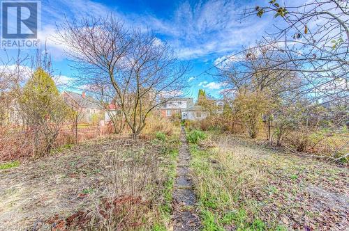 View of yard - 55 Ellis Avenue, Kitchener, ON - Outdoor With View