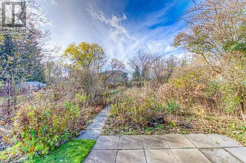 View of yard with a patio area - 55 Ellis Avenue, Kitchener, ON - Outdoor