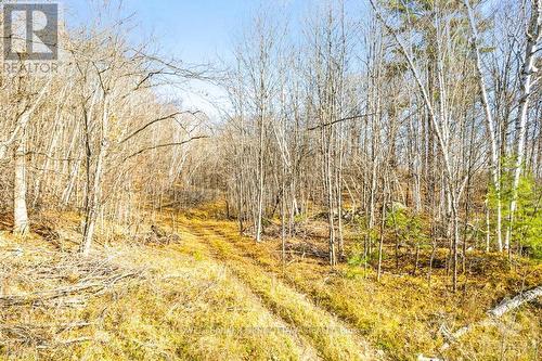 1044 Lavant Mill Road, Lanark, ON - Outdoor With View