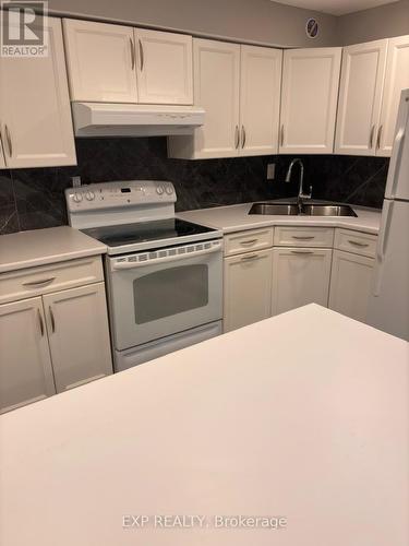 Bsmnt - 76 Rosewell Crescent, Halton Hills, ON - Indoor Photo Showing Kitchen With Double Sink