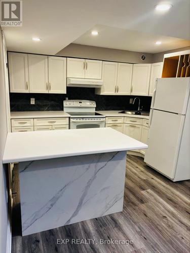 Bsmnt - 76 Rosewell Crescent, Halton Hills, ON - Indoor Photo Showing Kitchen With Double Sink