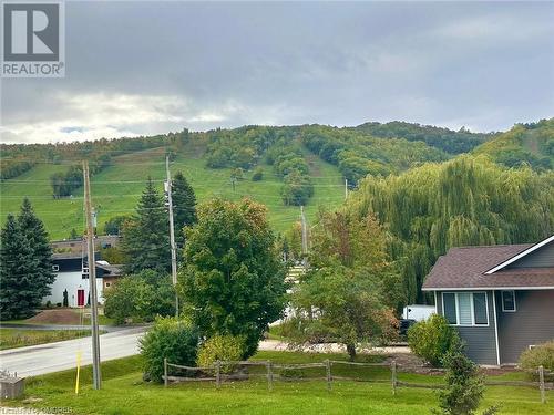 Mountain view - 796363 Grey 19 Road, The Blue Mountains, ON - Outdoor With View